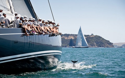 2021 Yachting News