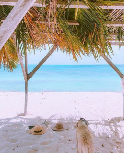 About Barbuda