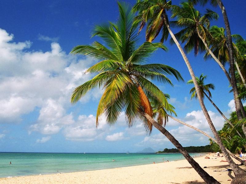 About Martinique