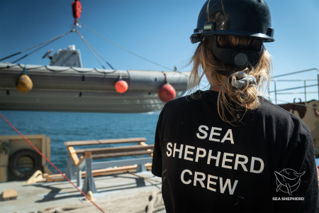 Sea Shepherd